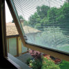 Integrated Blinds